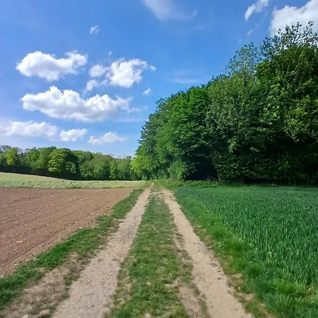 펜션 La Maison Des Caps Au Blancnez *