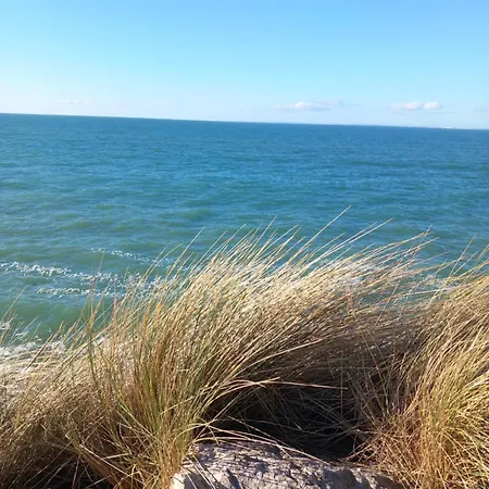 La Maison Des Caps Au Blancnez 펜션 *