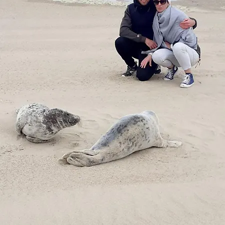 La Maison Des Caps Au Blancnez 마르키스