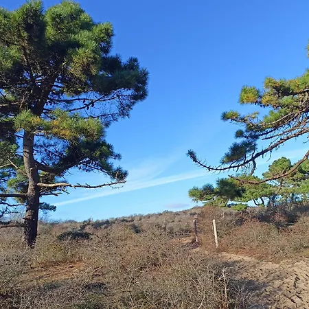 La Maison Des Caps Au Blancnez 마르키스
